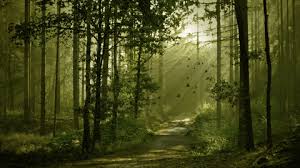 Free hd gif wallpapers for desktop. Landscape Gif Anime Wallpaper Hd