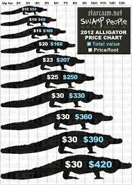 27 rigorous american alligator population chart