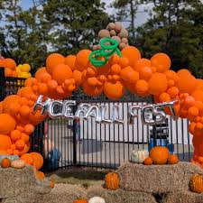 Image result for fat ass pumpkin