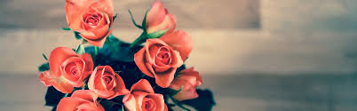 Preparez Vos Campagnes Sms Pour La Saint Valentin Wellpack