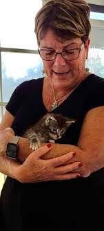 One-month-old coon kitten visit in January