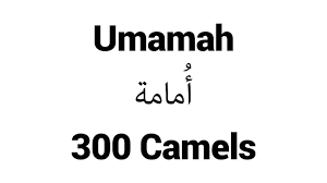 How To Pronounce Umamah Middle Eastern Names Youtube