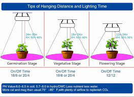 During the flowering stage, energy conservation is the most important. Led Grow Lights Distance For Cannabis Best Grow Light For Seedlings Oase Livingwater Com