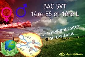 En 2011, l'épreuve du bac de sciences n'était pas organisée comme actuellement. Annales Epreuves Anticipees Sciences Es L Bac 2018 Vive Les Svt Les Sciences De La Vie Et De La Terre Au College Et Au Lycee Cours De Svt En Ligne