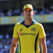 Complaints state they're trying to play and we're being wilfully distracting. Josh Hazlewood Wikipedia