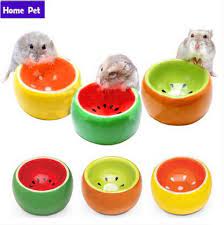✅ browse our daily deals for even more savings! Online Get Cheap Ceramic Hamster Bowl Aliexpress Com Alibaba Group Hamster Toys Hamster Hamster Care