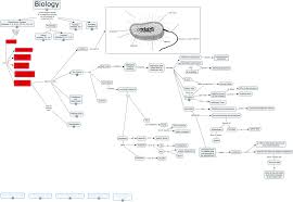 Kingdom Monera Biology Lessons Concept Map Plant Identification
