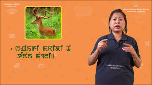 This app will help you to learn and understand manipuri script very easily and effectively with visual and native. Class Iii Manipuri Lesson 1 Sangai Youtube