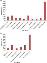 Image result for Cleistochlamys