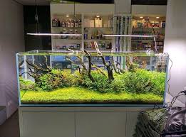 We offer the most competitive prices for aquariums, aquarium accessories and aquarium supplies in malaysia! Crystal Clear Tank Murah Home Facebook
