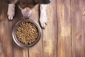 We all love our dogs, but too much love can be a bad thing. Here S What Is In Dog Food That Causes Allergies And What To Do About It This Dogs Life