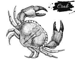 Seductive glances across the room. 40 Quotes About The Zodiac Sign Cancer You Ll Surely Like To Read Astrology Bay