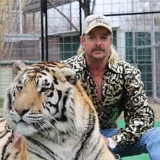 Explore and share the best tiger king gifs and most popular animated gifs here on giphy. Hey All You Cool Cats And Kittens The Best Tiger King Memes