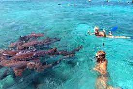 The town on the island is known by the name caye caulker village. Things To Do In Caye Caulker Belize