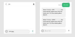 Kalian tinggal ketik saja formatnya lalu kirim ke 3636. Cara Cek Kuota 3 Tri Terbaru 2021 Gambar Caradasar