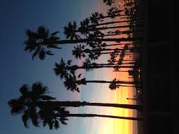 Palm trees and hammock on tropical beach. Hd Wallpaper United States Huntington Beach Sunset Palm Trees California Wallpaper Flare