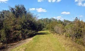 Indication of whether a cbsa is metro (over 50 lakeland, fl. Nature Hiking Cycling Running In Central Florida Polk County