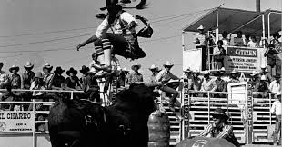 O começo do rodeio no mundo - Cavalus
