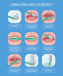 Como Cepillarse Los Dientes Correctamente Imed Dental