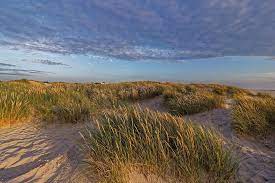 Es ist definitiv eine reise wert. Danemark Landschaft Landscape Kostenloses Foto Auf Pixabay