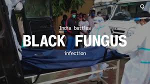 June 07, 2021 19:22 shyam a. India Covid Update Deadly Fungus Infection Mucormycosis Found In Patients Bloomberg