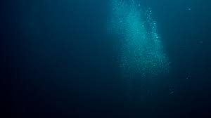 Image result for sea