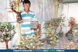 We did not find results for: Penjual Ayam Bakar Sulap Kayu Bekas Jadi Bunga Hias