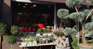 Vert Mousse Fleuriste Fleuriste Vert Mousse