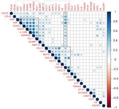 There are several types and brands of inhalers used for managing. Patients With Asthma And Chronic Obstructive Pulmonary Disease Copd Have Increased Levels Of Plasma Inflammatory Mediators Upregulated In Severe Covid 19 Medrxiv