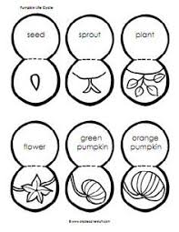 About The Pumpkin Life Cycle Alone Or Along With The Book Students Can Use This Printable To Create A Mo Pumpkin Life Cycle Fall Kindergarten Pumpkin Lessons