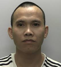 Newton Abbot cannabis factory pictures released by police