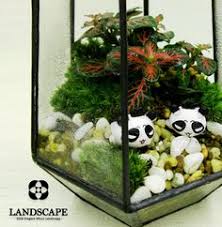 The micro landscape can be used as a great gift for friends or family. 41 Moss Micro Landscape Ideas