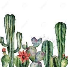 This is a print of my original watercolor painting. Watercolor Card With Cactus Hand Painted Print With Desert Plants Stock Photo Picture And Royalty Free Image Image 116175159