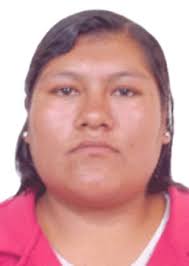 Ingresos de Otorongos Elecciones 2022