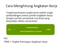 Sedangkan, tingkat partisipasi angkatan kerja (tpak) adalah perbandingan antara jumlah angkatan kerja dengan penduduk dalam usia kerja. The Employment And Wage Ppt Download