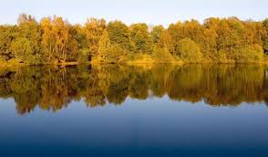 The local nature reserve has over 50 acres of mainly silver birch and oak woodland surrounding a 15 acre lake as well as areas of heathland, a for more information on brereton heath local nature reserve and the landscape and wildlife that it has to offer, please see our activities and information. Walks For All Brereton Heath Visit Cheshire