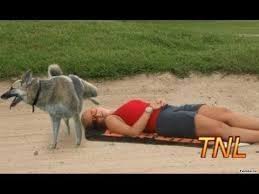 how to play with dog must must watch this funny video وڈیو دیکھیں ہن funny videos 2017 new funny videos funny photos