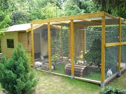 Winter Bunnies How To Protect Rabbits From The Cold Bunny Approved House Rabbit Toys Snacks And Accessories Rabbit Hutches Rabbit Enclosure Rabbit Shed