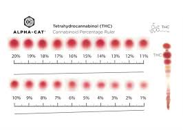 marijuana thc test kits your complete 2019 buyers guide