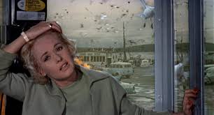 Résultat de recherche d'images pour "les oiseaux FILM"