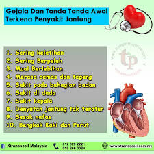 Denyut jantung tak beraturan ini cukup serius jika dibarengi dengan peningkatan jumlah denyut per menit, yang disebut dengan supraventrikular dan ventrikular takikardia. Gejala Dan Tanda Tanda Awal Terkena Xtransscell Malaysia Facebook