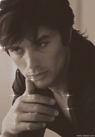 ALAIN DELON INTERNATIONAL APPRECIATION SOCIETY