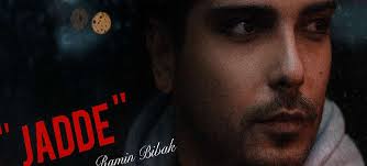 Amin Fayyaz & Mohammad Shahrooz