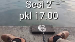 Galatama Mas Cibeber Cimahi Galatama Di Cimahi Bandung Ikan Mas Youtube