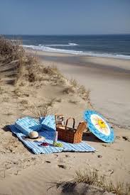 Birds Of Cape Cod National Seashore Seas The Day Cape Cod National Seashore Early Morning In 2020 Beach Picnic Beach Beach Time