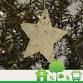 Native plant papermaking for Christmas event image