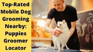 Get free quotes in minutes from reviewed, rated & trusted pet grooming near me on airtasker. Mobile Dog Grooming Near Me Top Rated Dog Groomer Locator Dog Grooming Groomer Dog Groomers