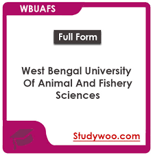 Maybe you would like to learn more about one of these? B F Scholarship Form 2021 22 Scholarship Form 2021 Scholarship Forms Online Application Form New Scholarships Opportunities 2021 22 Scholarships To Study Abroad 2021 22