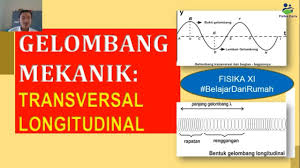 Mengidentifikasi karakteristik gelombang transversal dan gelombang longitudinal. Materi Gelombang Mekanik Karakteristik Gelombang Transversal Dan Longitudinal Youtube