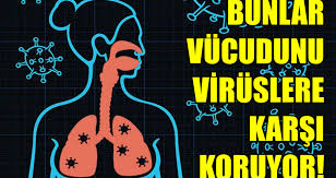 Genel Saglik Arsivleri Sifa Bul Saglik Fibromiyalji Zerdecal